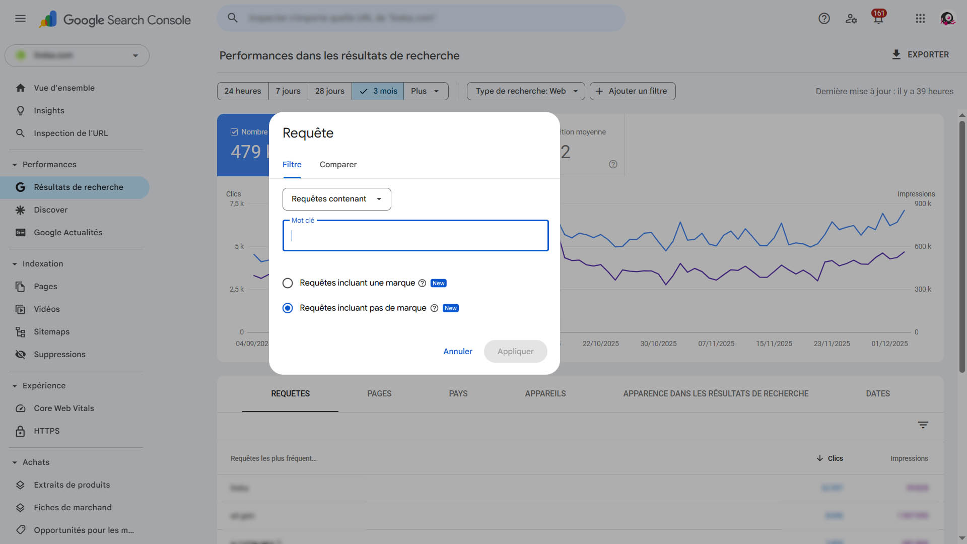Nouveau filtre marque dans Google Search Console (GSC)